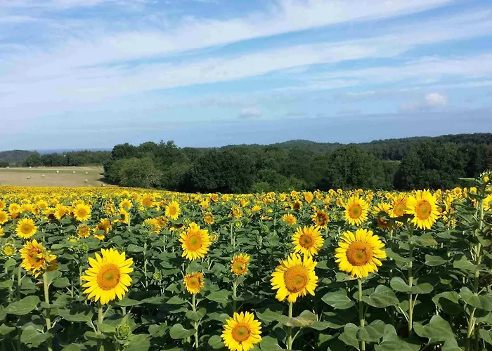 Bed & Breakfast La Douce Dordogne